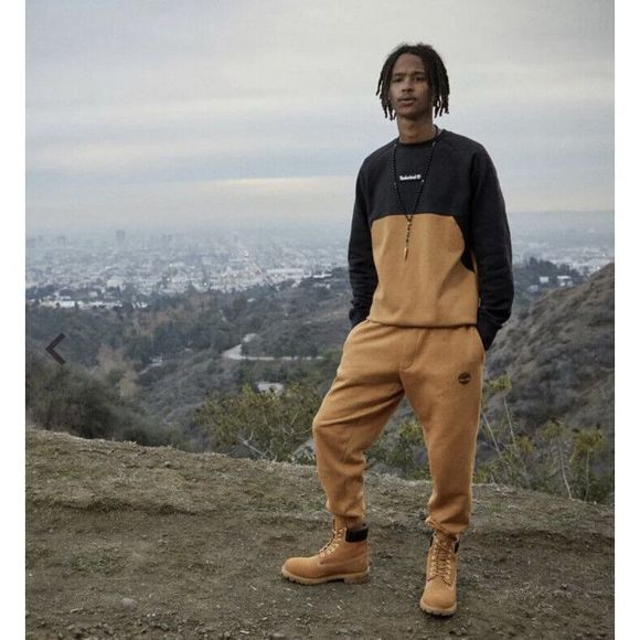 Timberland 100178 Men's Sz 11 Waterproof Basic 6in Ankle Boots Wheat $249 - Picture 8 of 8